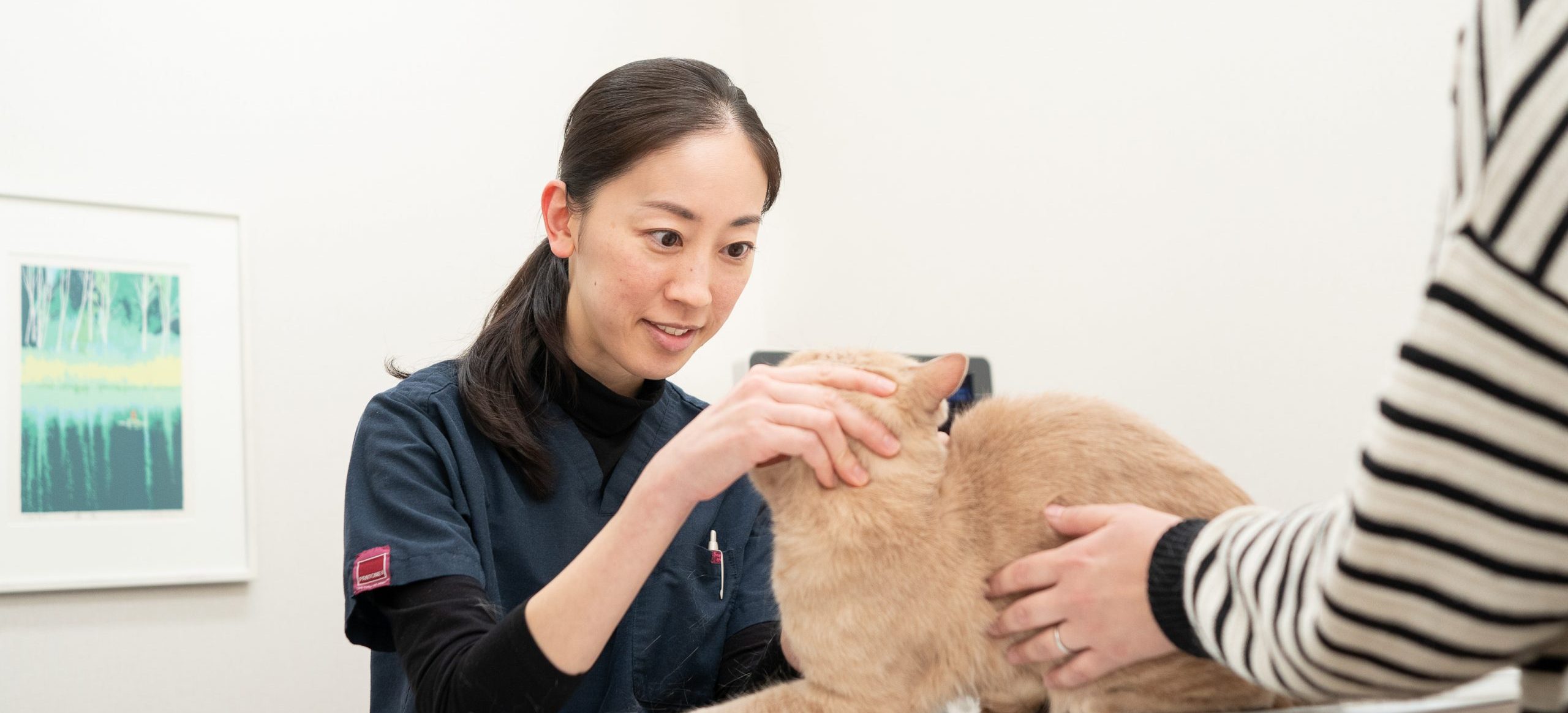 犬と猫の皮膚科｜八戸市のやすだ動物病院