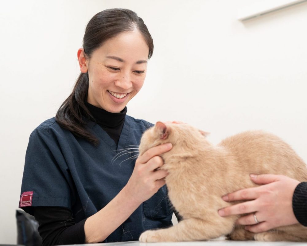 安田 祥恵｜八戸市やすだ動物病院