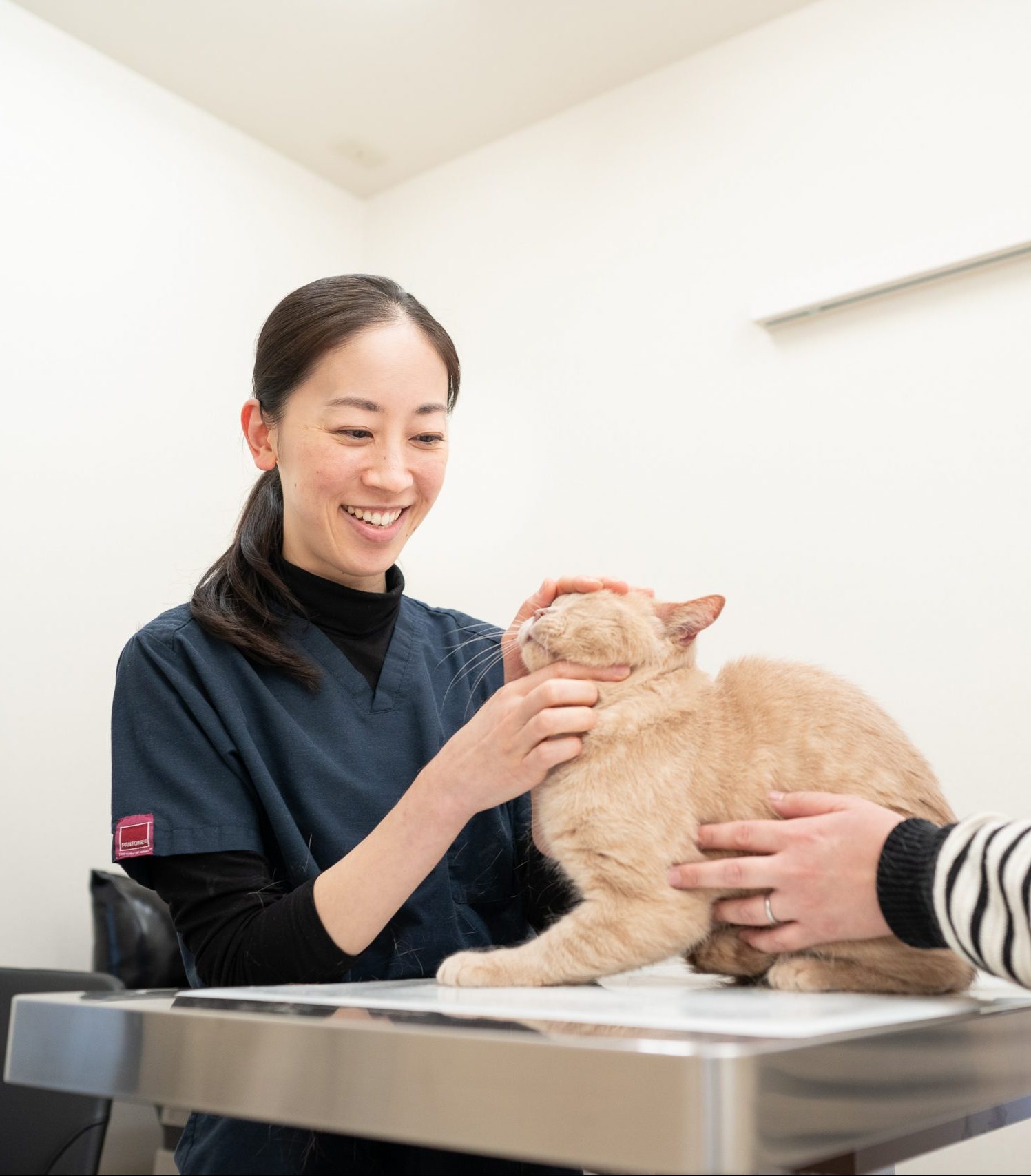 安田 祥恵｜獣医師・画像診断検定医