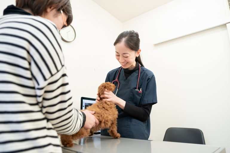 問診｜青森県八戸市やすだ動物病院